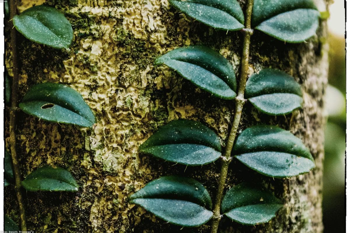 10 Reasons why Koggala Beach should be on your bucket list