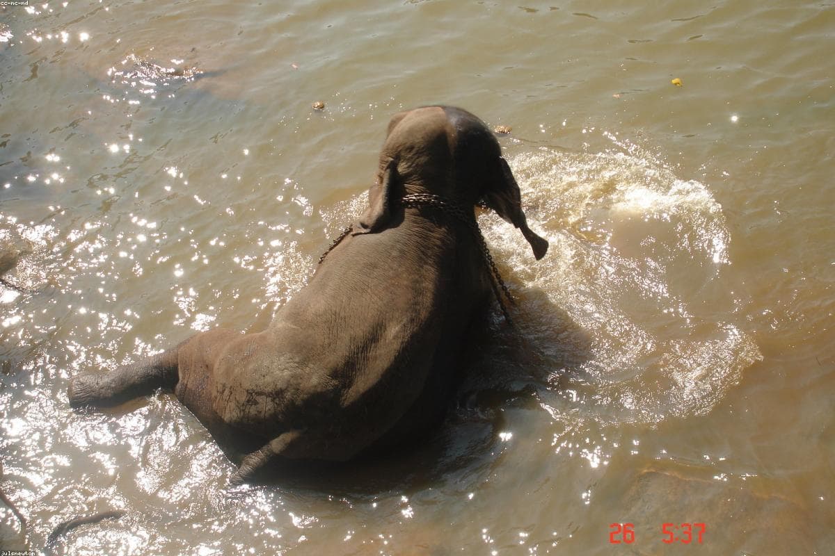 A photographer's perspective: Capturing the beauty of Deduru Oya