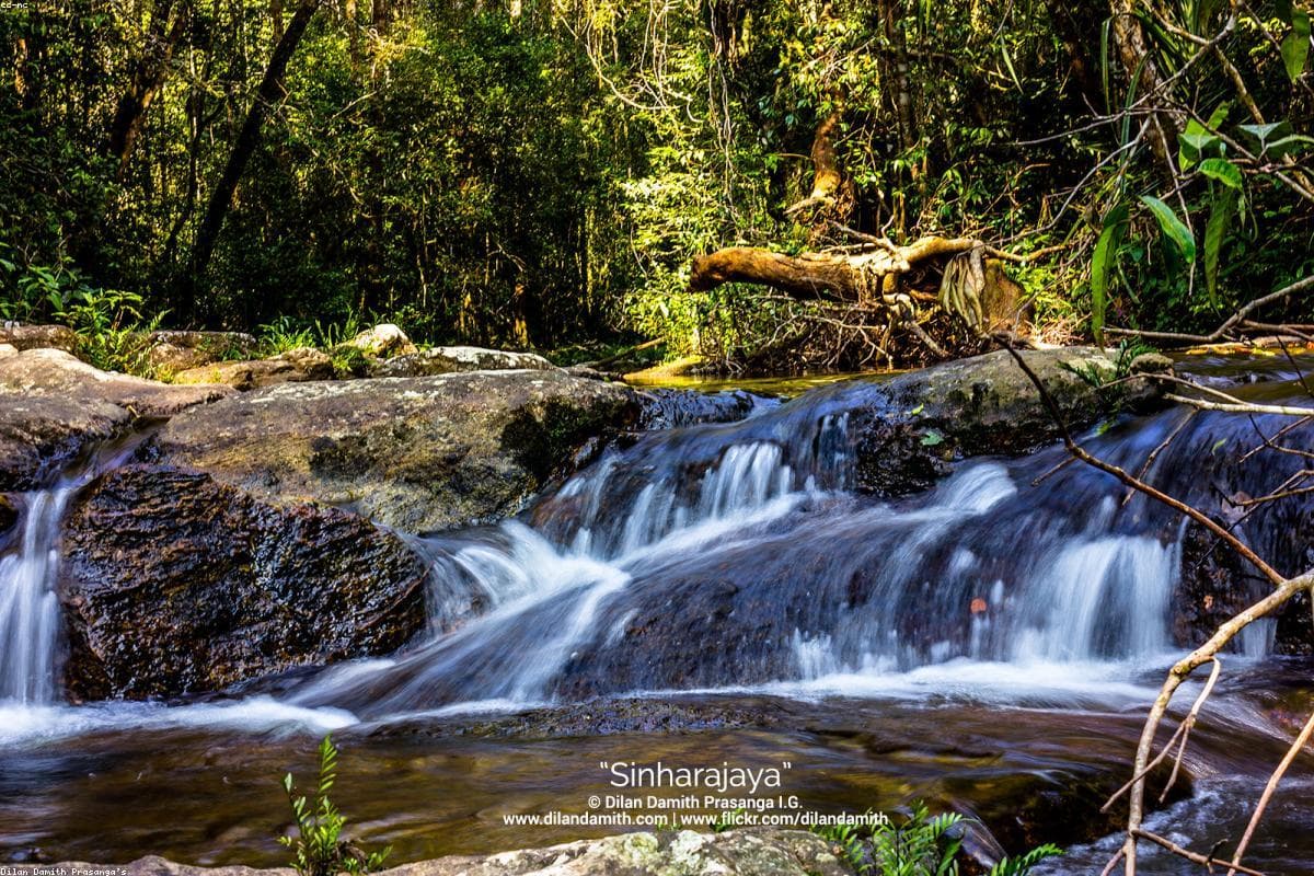 A photographer's perspective: Capturing the beauty of Randenigala Dam