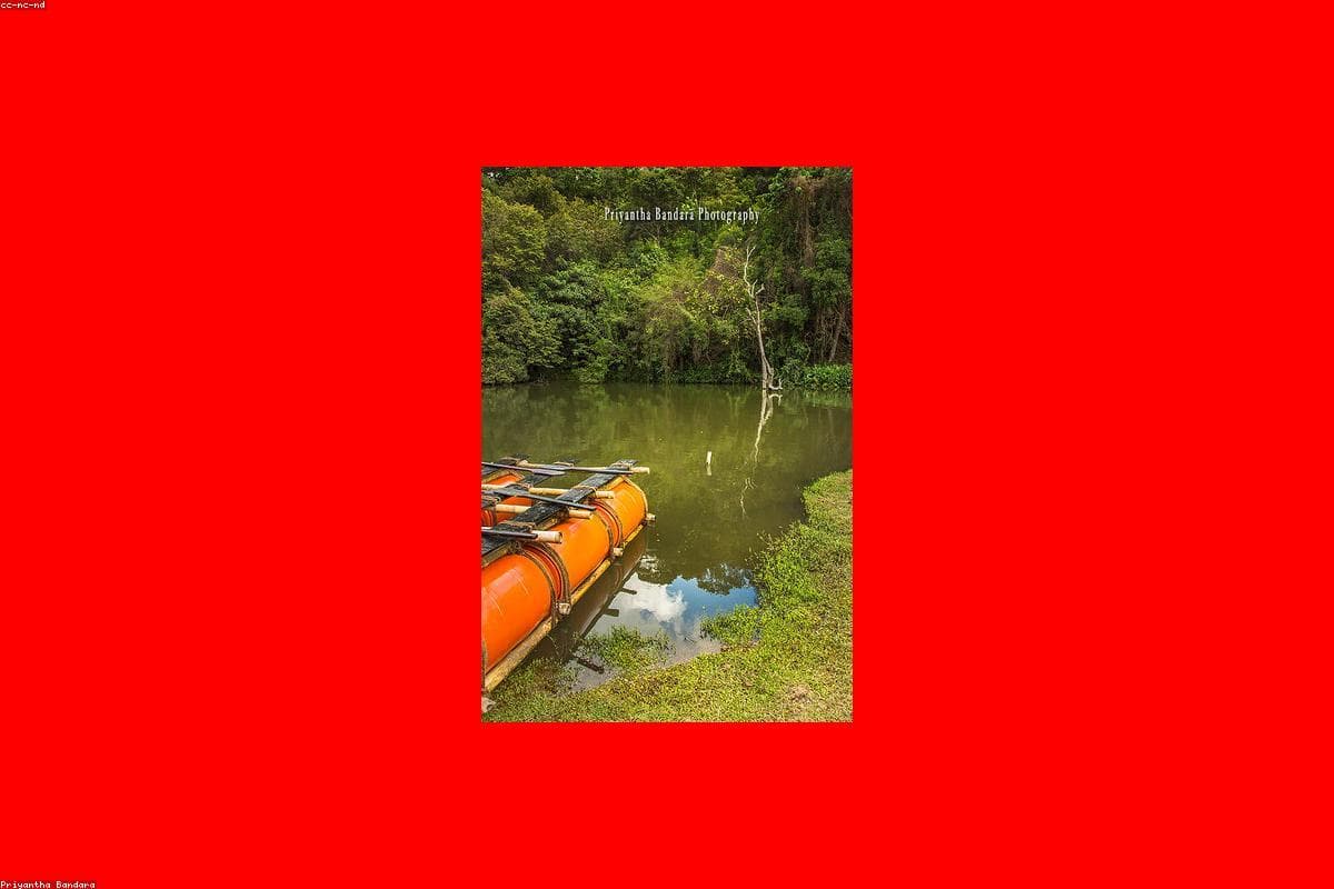 Exploring the hidden gems of St. Clair's Falls