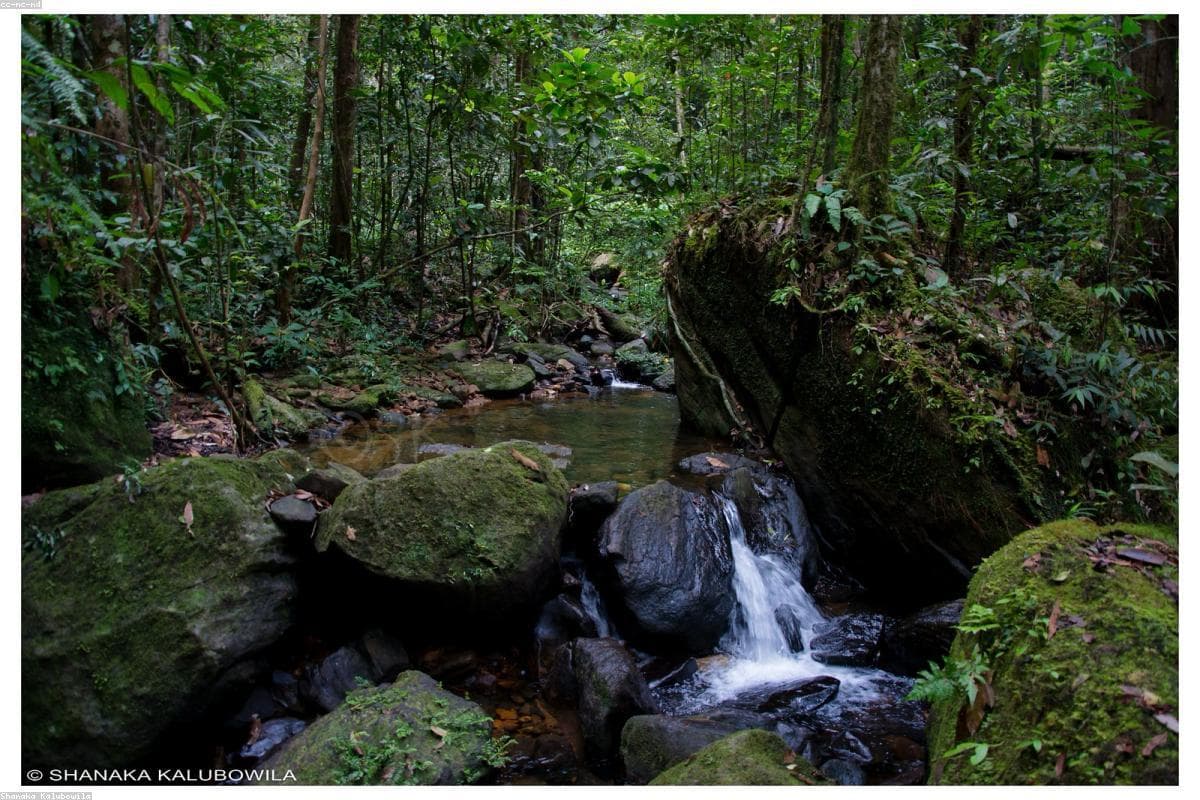 Exploring the hidden gems of Yoda Wewa