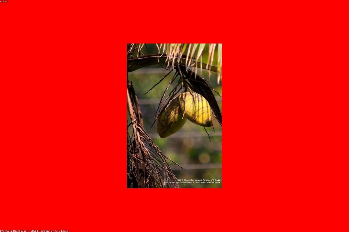 How to spend a perfect weekend in Kechimalai Mosque