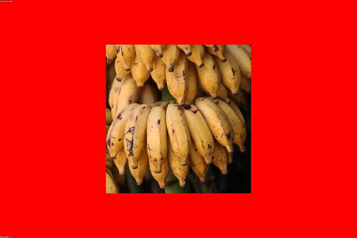 A Foodie’s Guide to Sri Lankan Street Food