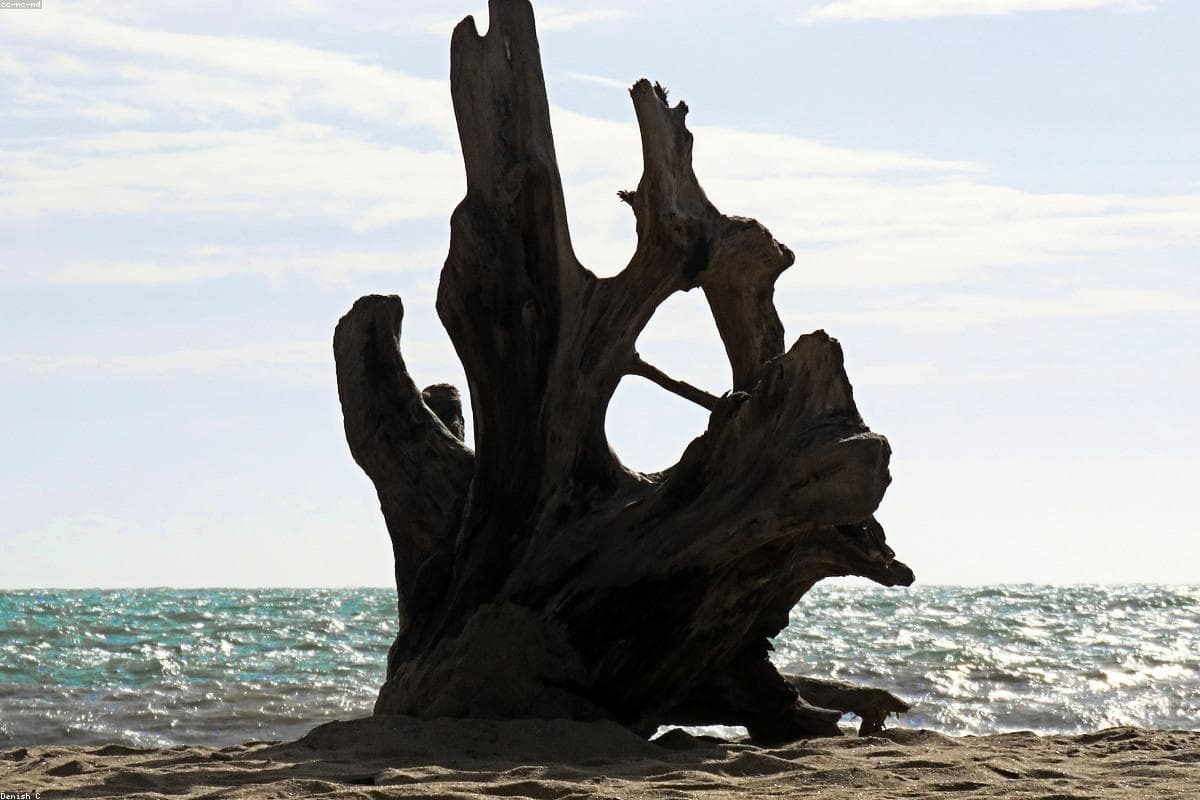 The best kept secrets of Peradeniya Botanical Garden revealed