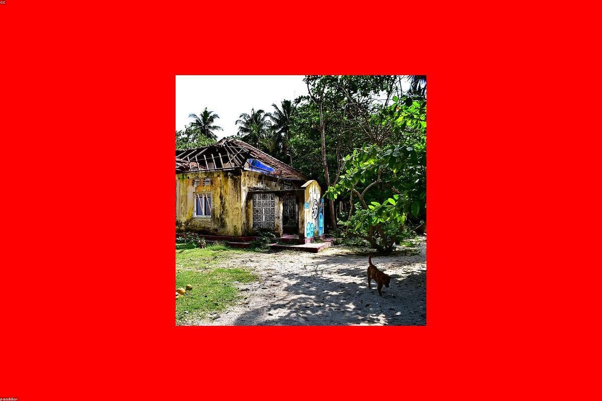 The ultimate guide to Budget in Nallur Kandaswamy temple