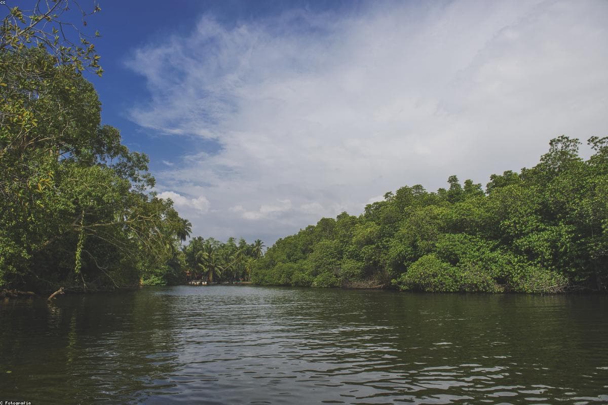 Top 10 Secret Beaches in Sri Lanka You Must Visit in 2026