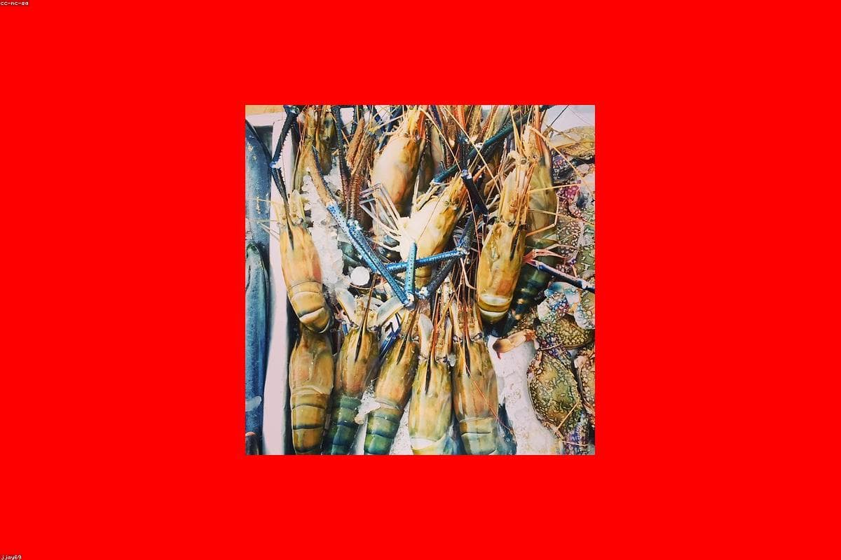 Top 12 things to do in Lunugamvehera National Park this year