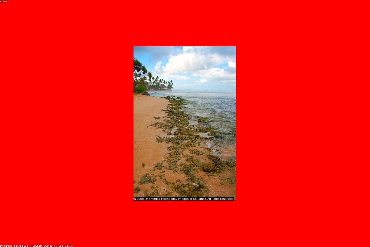 Unforgettable memories: My journey through Parakrama Samudra