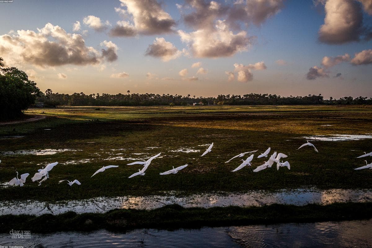 Unforgettable memories: My journey through Talalla Beach