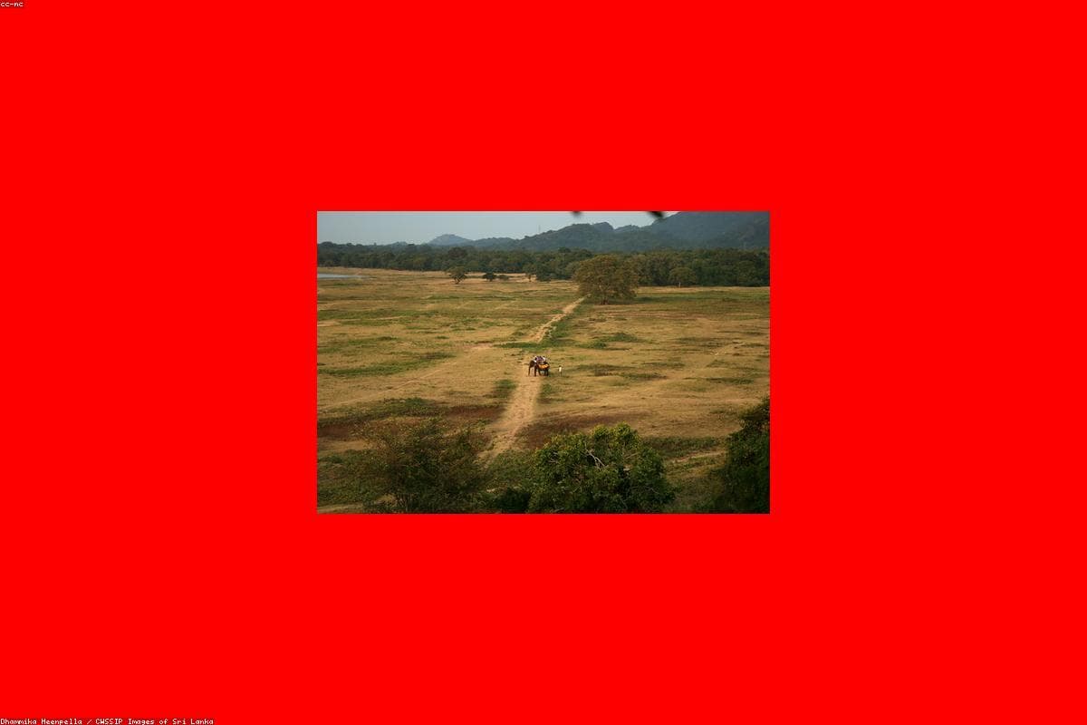 Where to find the best Adventure in Talawakele