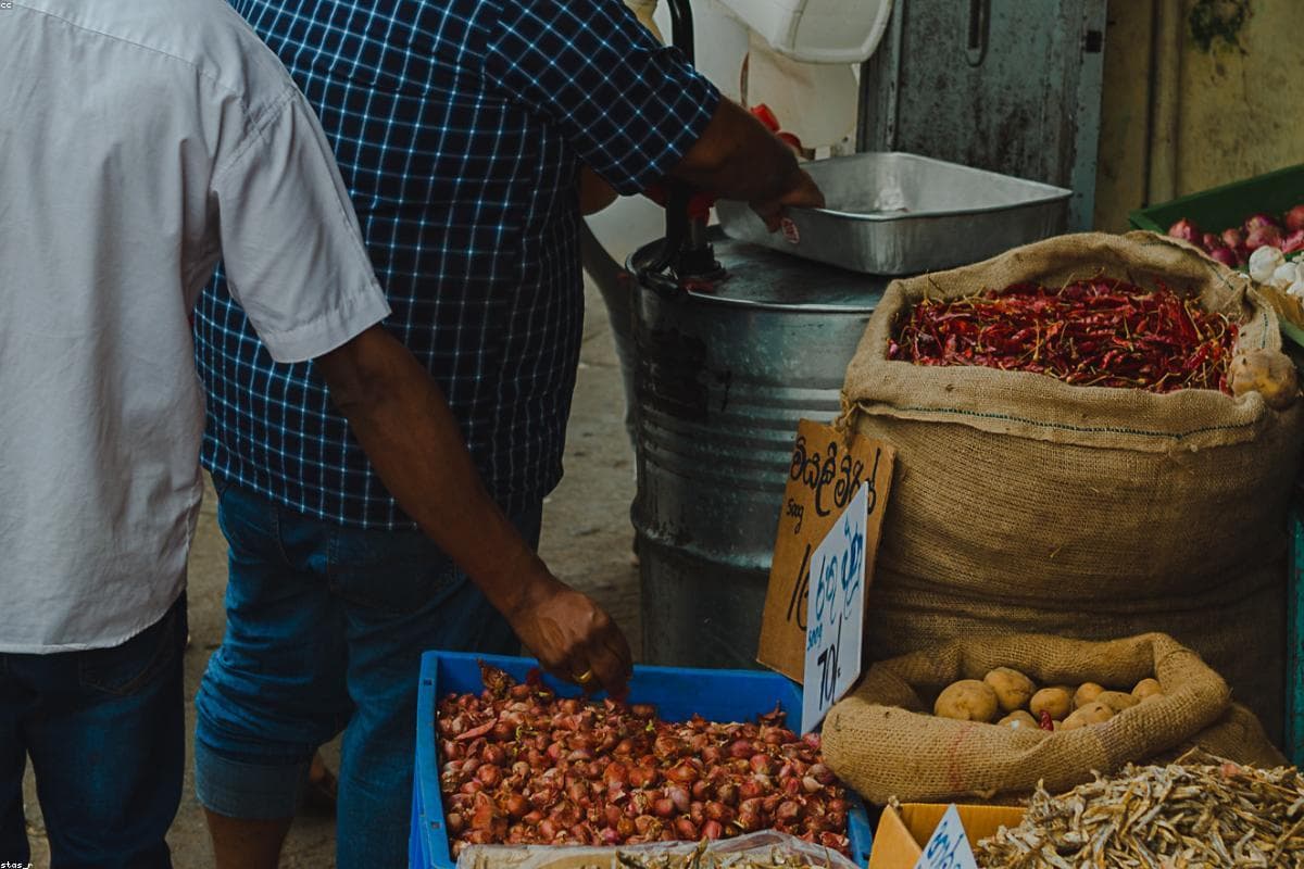 Why Nanu Oya is the perfect Budget getaway