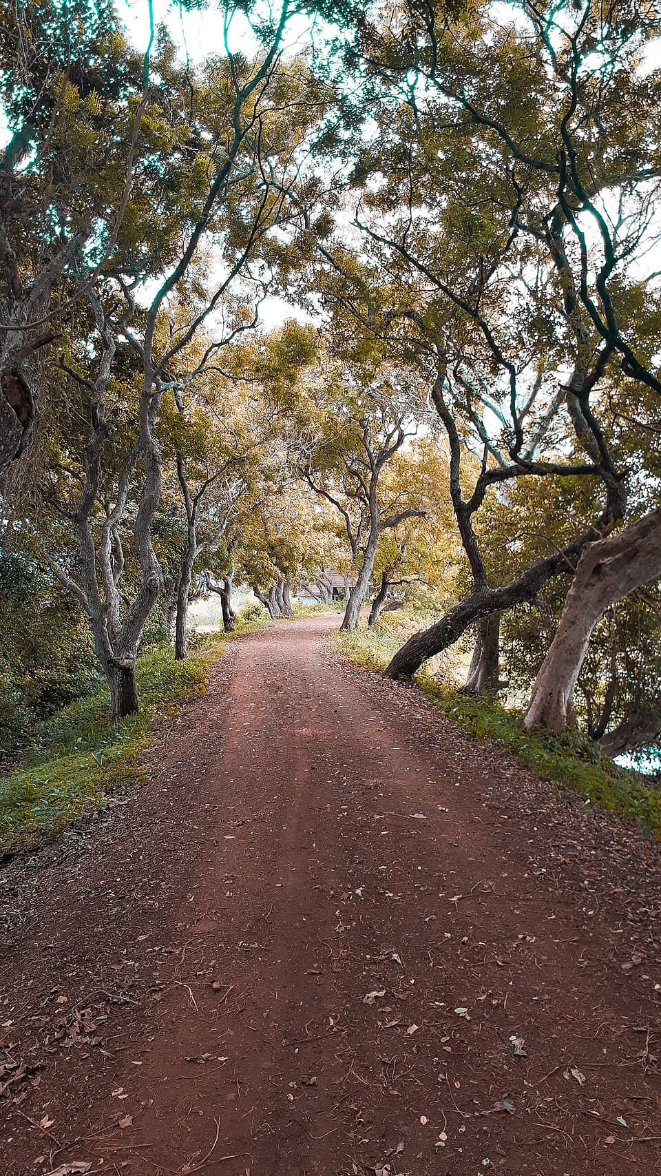 Anawilundawa Bird Sanctuary