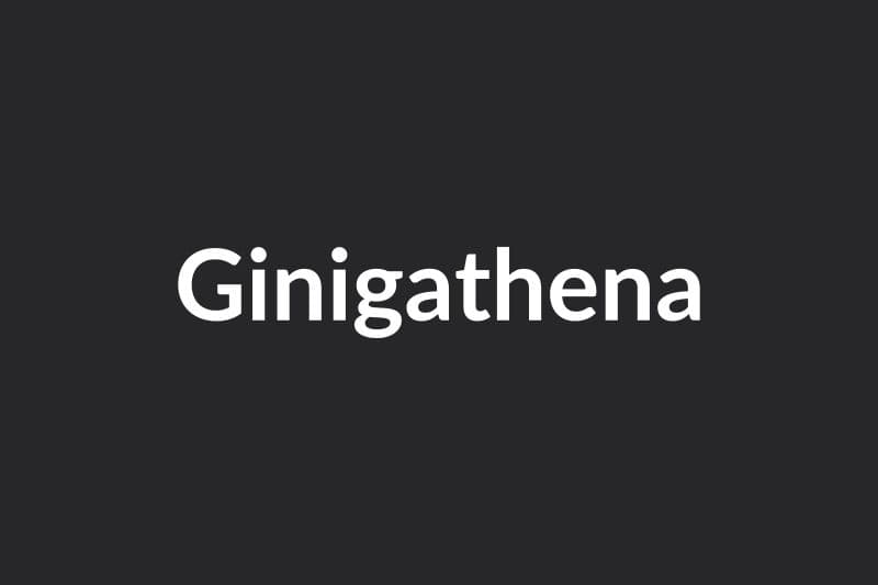 Ginigathena