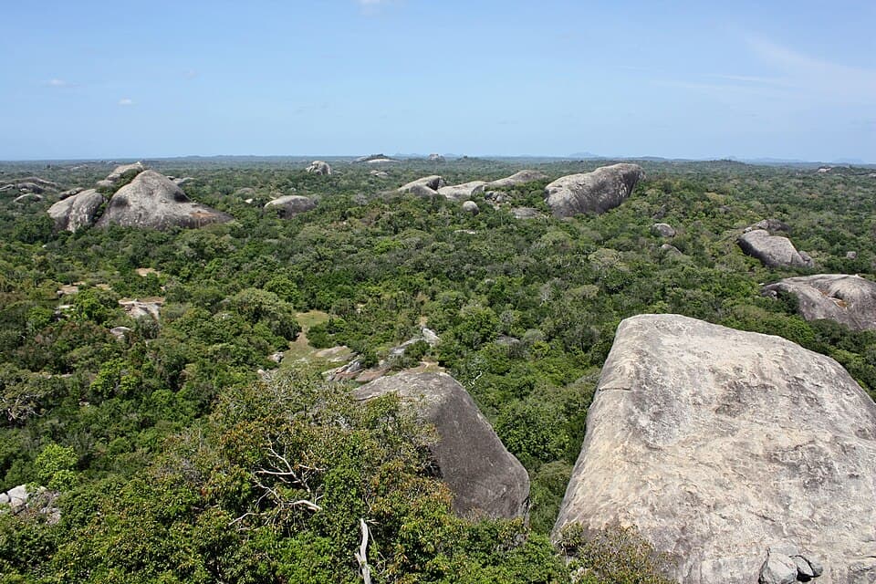 Kumana National Park