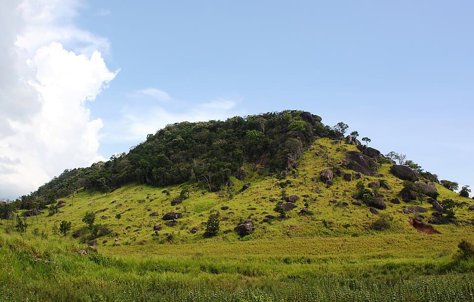 Maduru Oya National Park