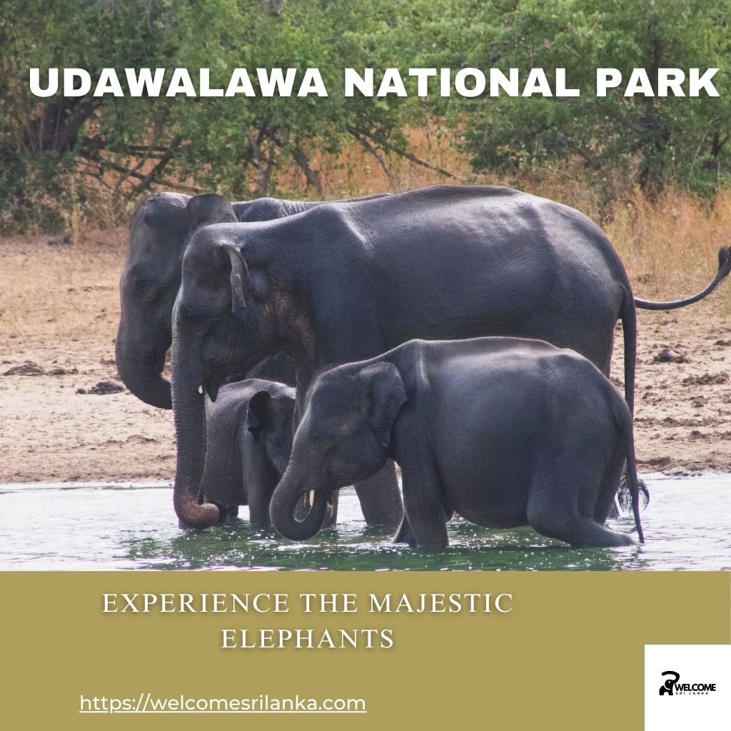 Udawalawe National Park
