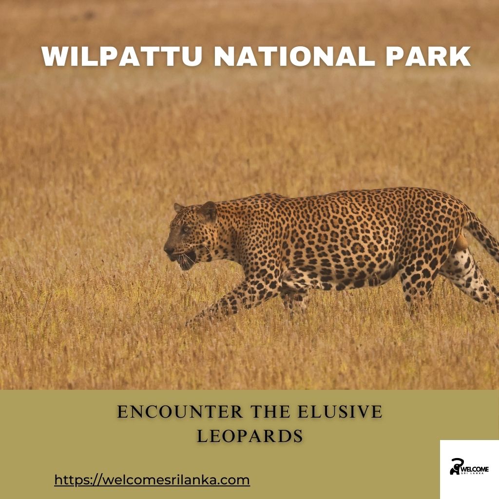 Wilpattu National Park